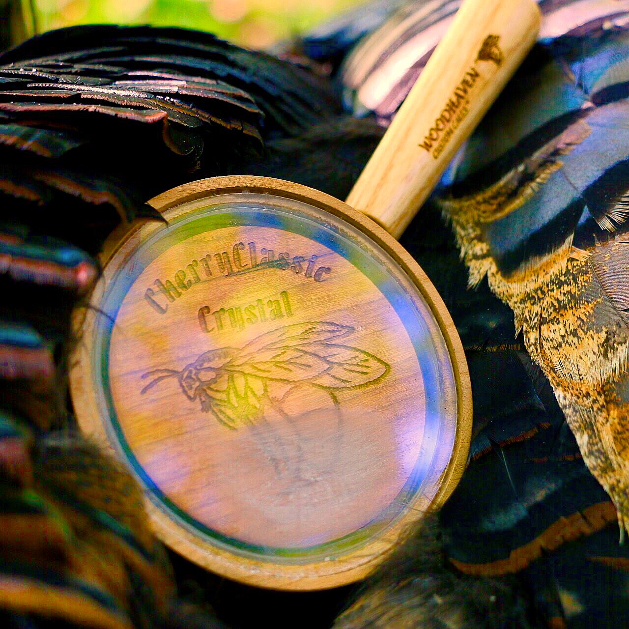 5 Simple Turkey Calling Tips