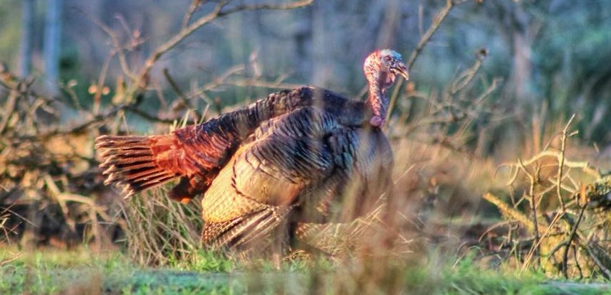 4 tips on Dealing with wind